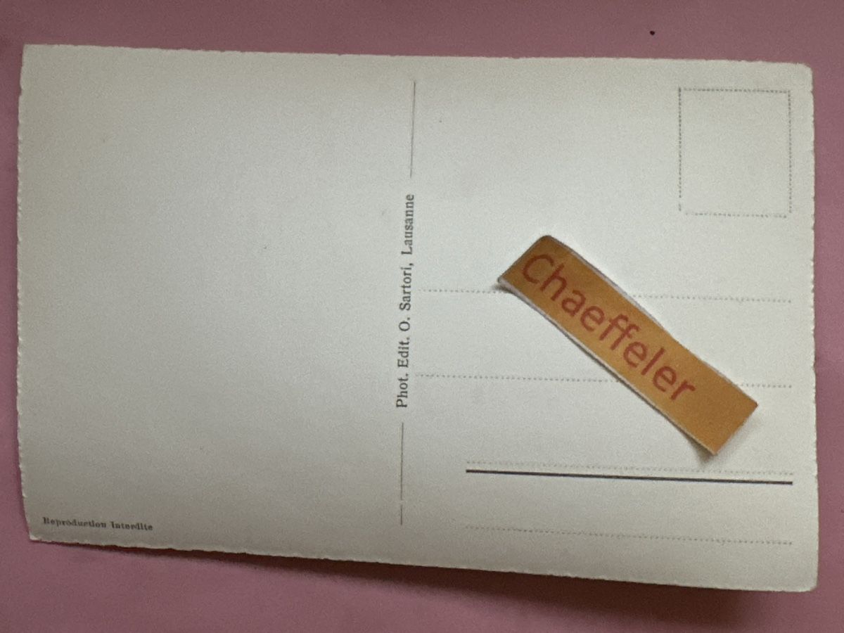 Cartoline postali: 3712 Rochers de Naye – Usato da Zürich venduto da Chaeffeler 1