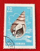Briefmarke aus Rumänien gestempelt   ﻿ Siehe Original Fotos 