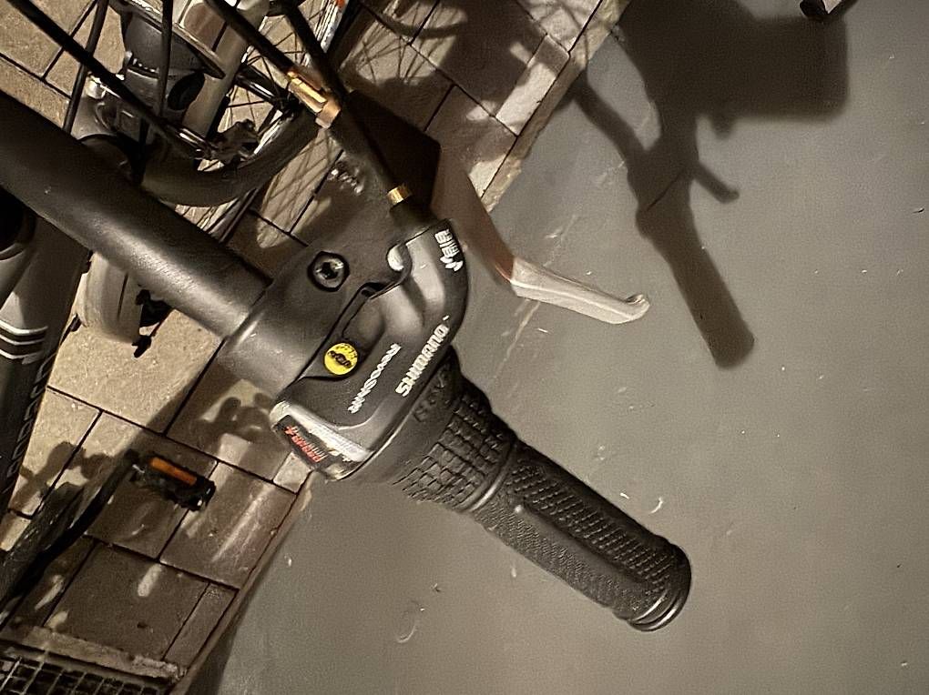 Leopard Biciclette: Leopard Citybike – Usato da Aesch BL venduto da Onir.c 2