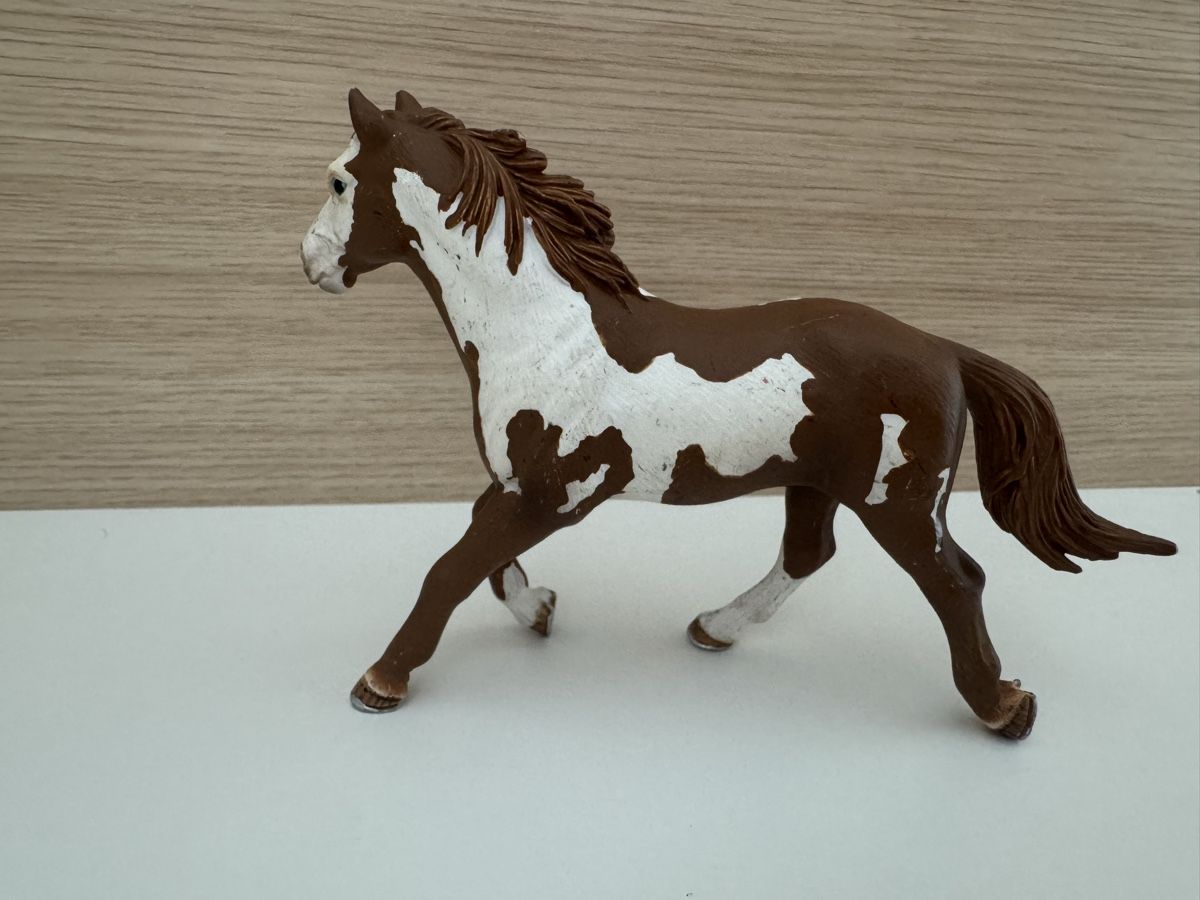 Schleich Statuette: Schleich Pinto Hengst 13616 Pferd – Usato da Sursee venduto da giu_205 1