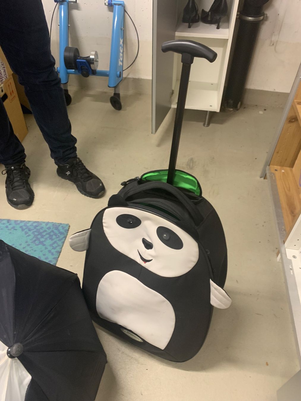 Altro in Aeronautica: Samsonite Panda Trolley mit Regenschirm – Usato da Buchs ZH venduto da gavvier