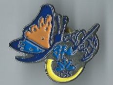 Schmetterling & CSS Logo! Pin