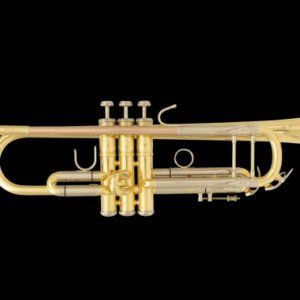 Strumenti musicali: SML PARIS - VSM TP500 - Trompete – Nuovo e nell'imballaggio originale da Grimisuat venduto da musicgear.ch