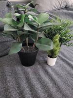 Lot 3 plantes artificielles IKEA