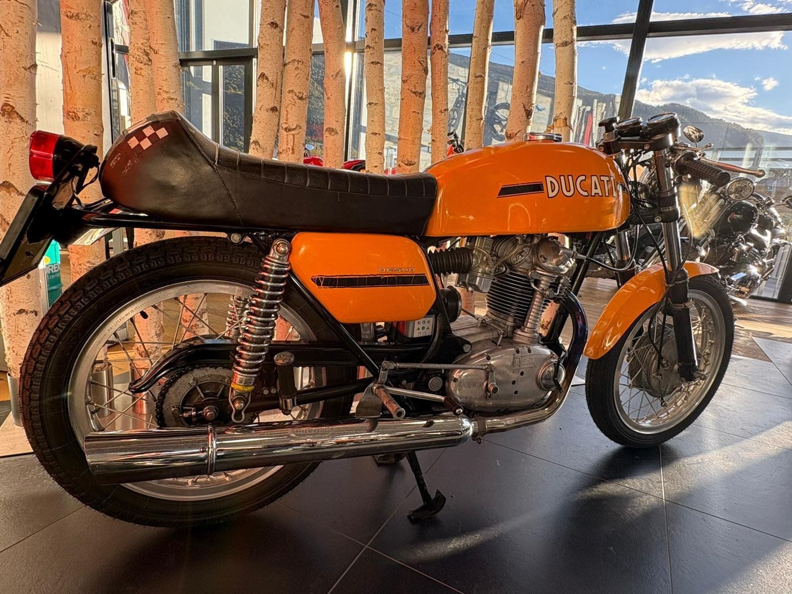Ducati Autres: Ducati Desmo 250 GT – D'occasion à Wettingen par thedud 2