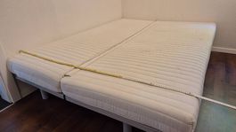 Gästebett / Sofa ein und ausklappbar