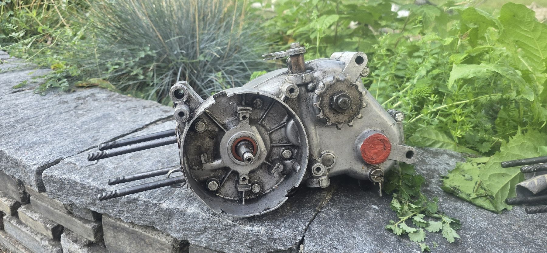 Motori: Kreidler Florett Motor – Usato da Ibach venduto da Speedrace