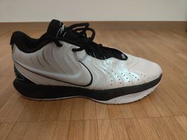 Lebron 21 Schuh. Top Zustand.