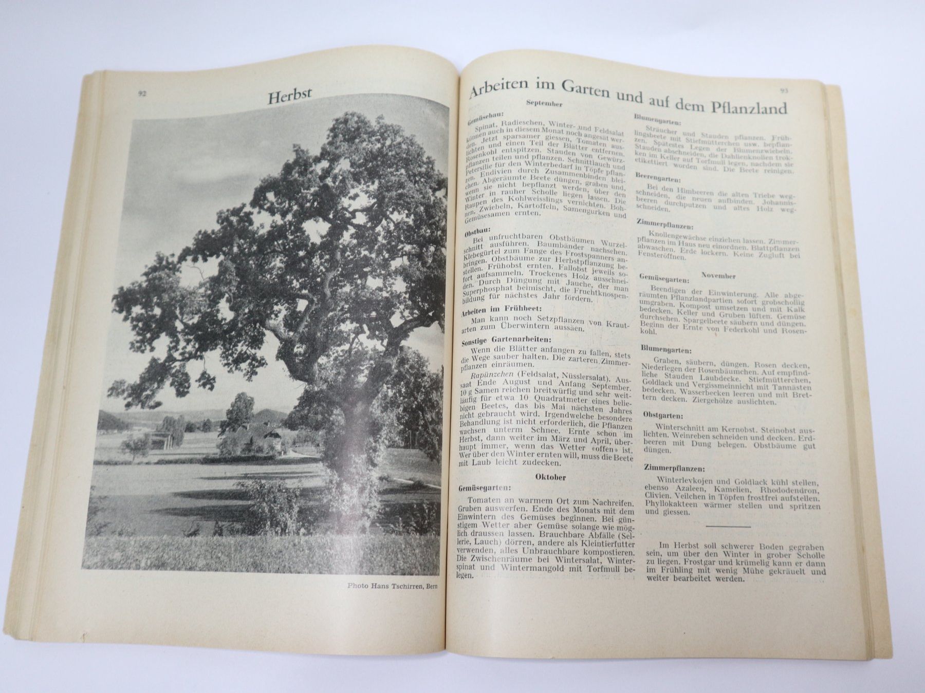 Riviste & Magazine: 1952 Schweizer Rotkreuz Kalender Heft – Usato da Eschenbach SG venduto da Astalavista 6
