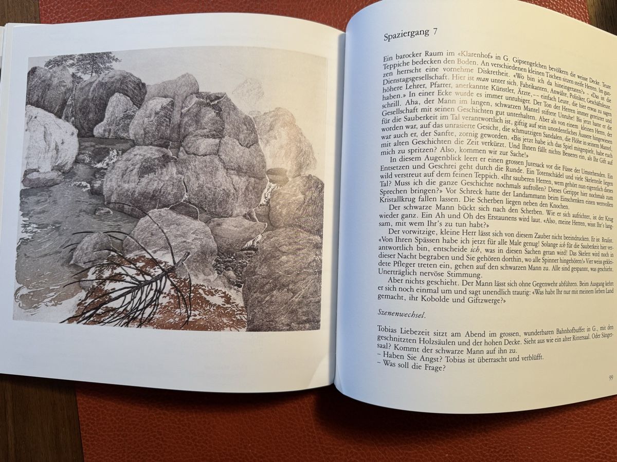 Libri: Bildband von Walter Dick & Werner Wiedenmeier Lithos – Usato da siebnen venduto da minte 9