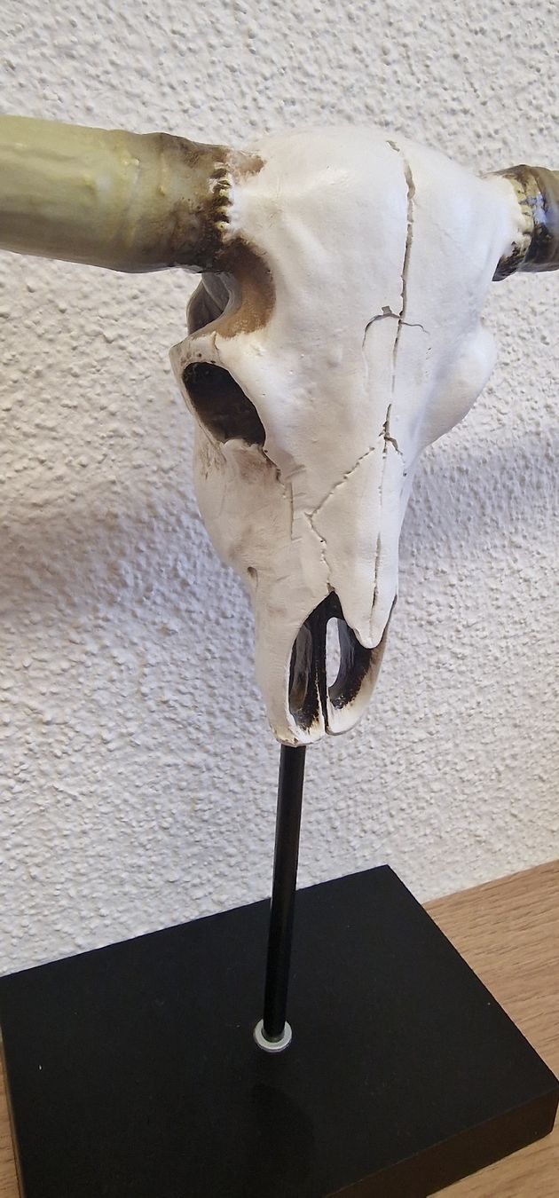 Statuette: Büffelkopf Statue mit Ständer neuwertig!! – Nuovo (secondo la descrizione) da Winterthur venduto da somasgrooverz 2
