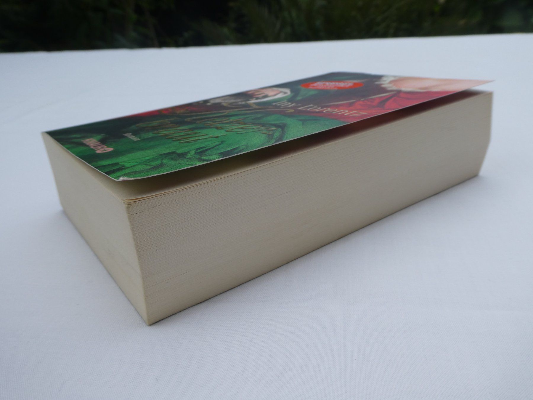 Livres: Die Ketzerbraut, von Iny Lorentz – Neuf (Voir description) à Gattikon par kaandooh 2