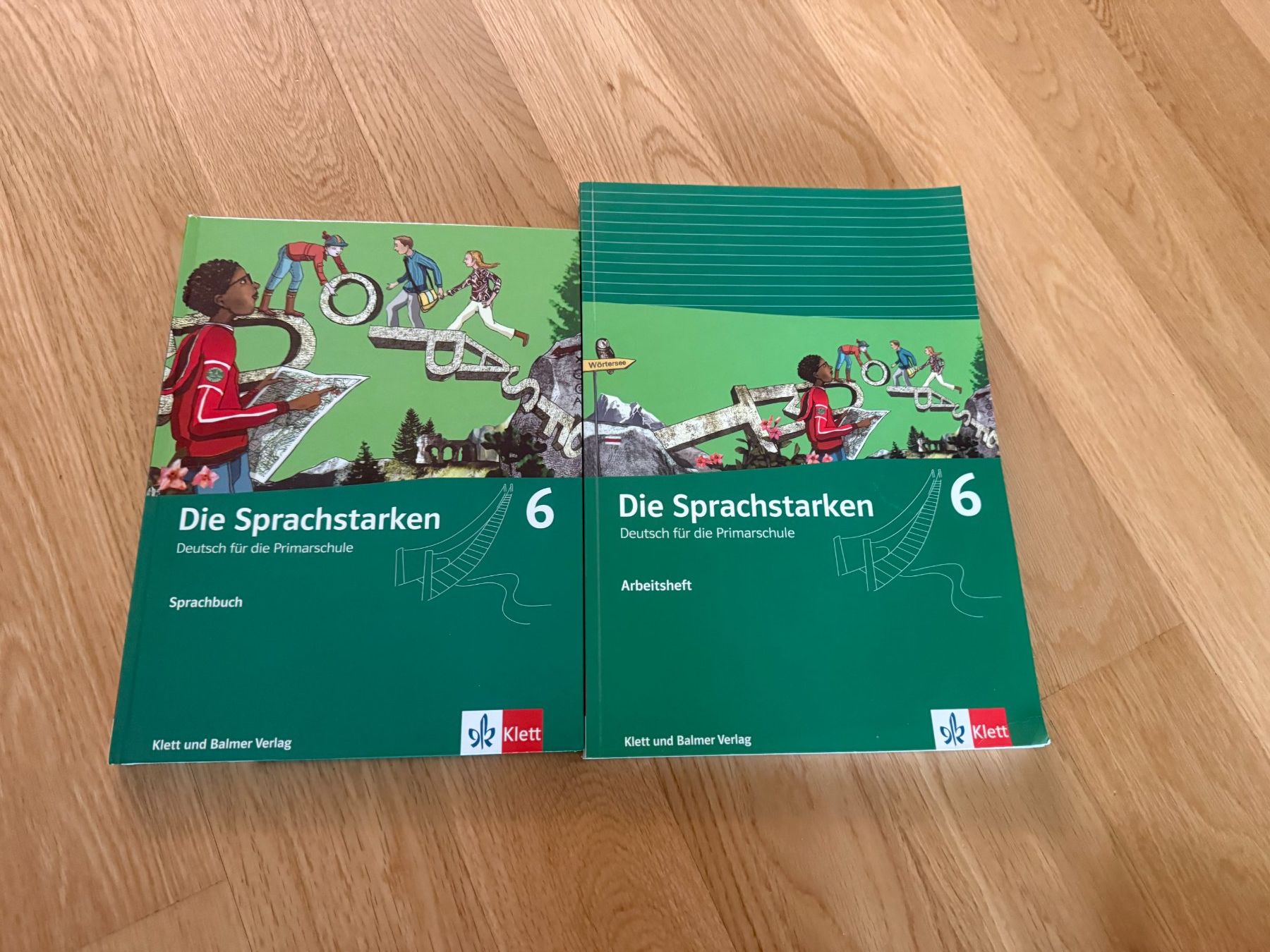 Libri: Die Sprachstarken 6: Arbeitsheft & Sprachbuch, Top! – Nuovo (secondo la descrizione) da Bern venduto da Nlansglot