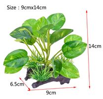Ensemble de plante aquarium - 14cm x 9cm