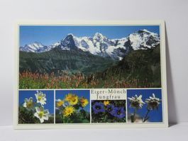 Eiger - Mönch , Jungfrau