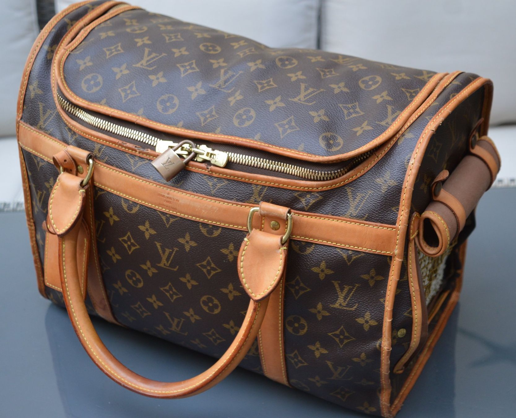 Cucce & Letti: Louis Vuitton Pet Bag 40 – Usato da Collonges venduto da Auganien 2