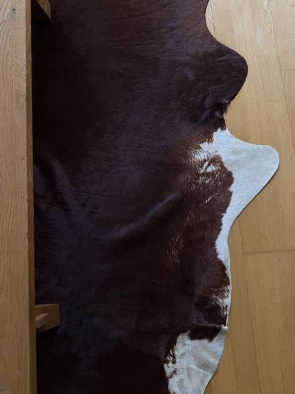 Tapis: Kuhfell Braun/Weiss IKEA – D'occasion à Bern par gregnenn