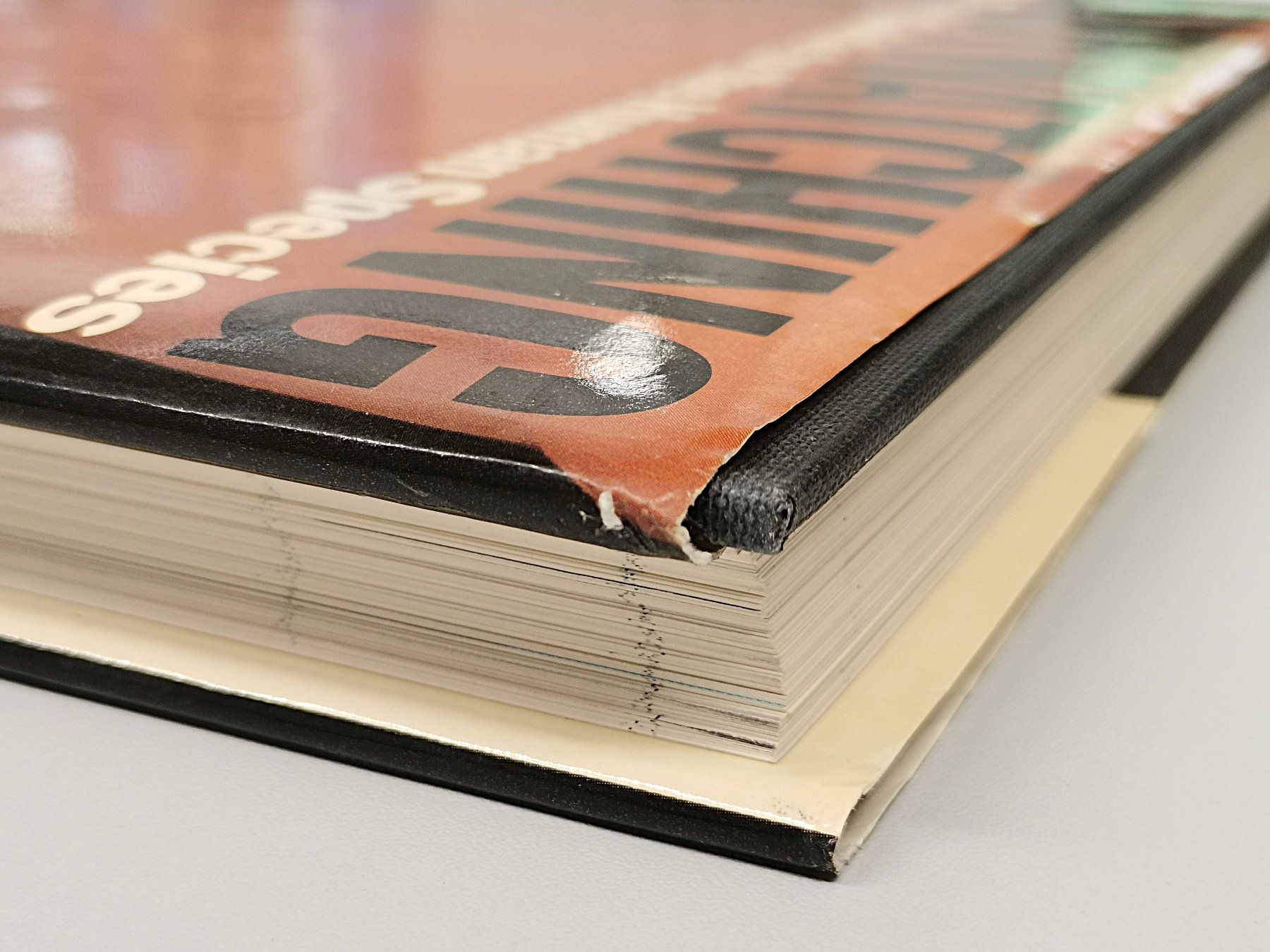 Libri: Buch - Bodywatching Desmond Morris – Usato da Schaffhausen venduto da Restwert_SH 4