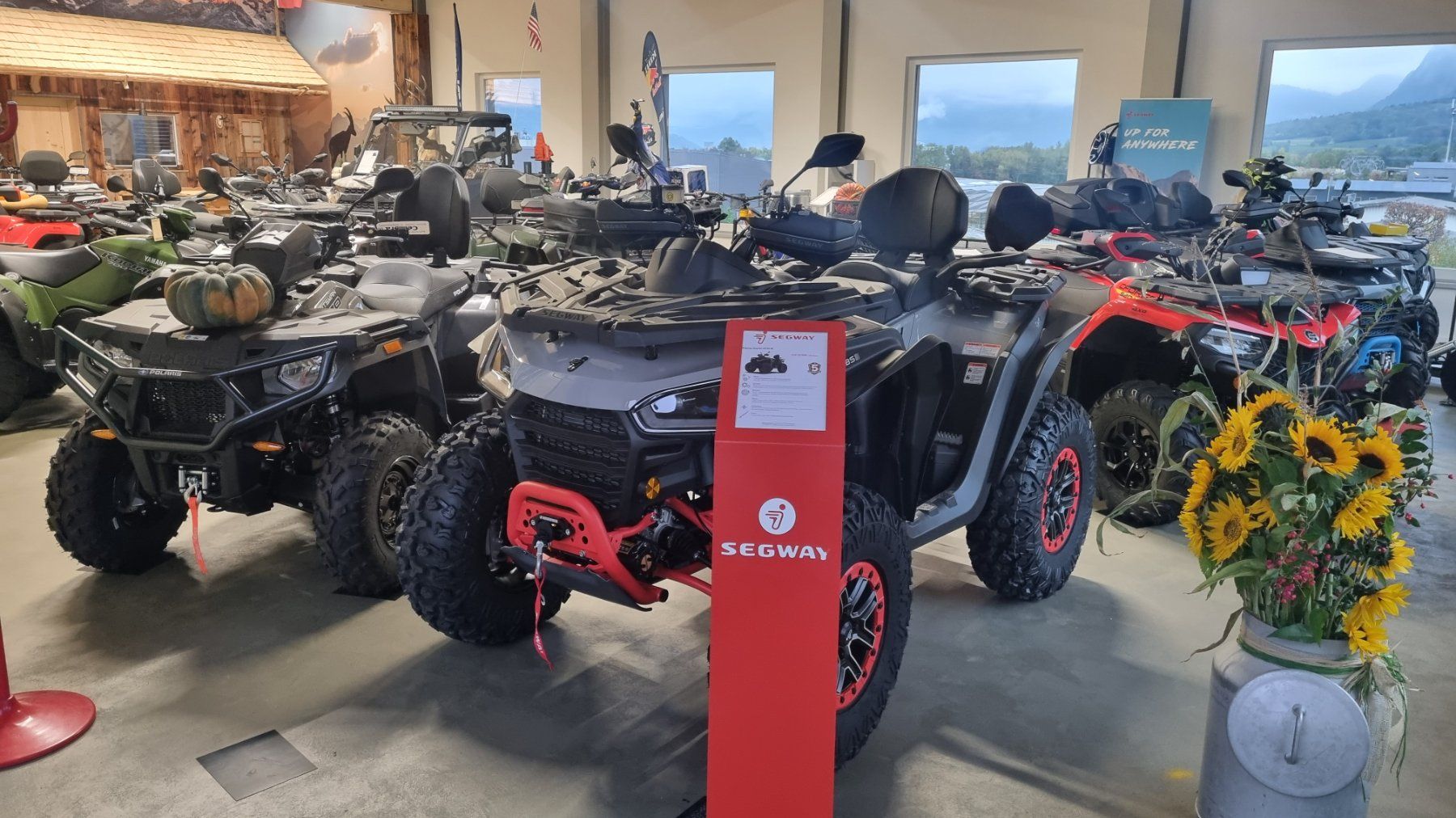 Segway ATV / Quad: AT 10 W – Nuovo (secondo la descrizione) da Trimmis venduto da 0004 6