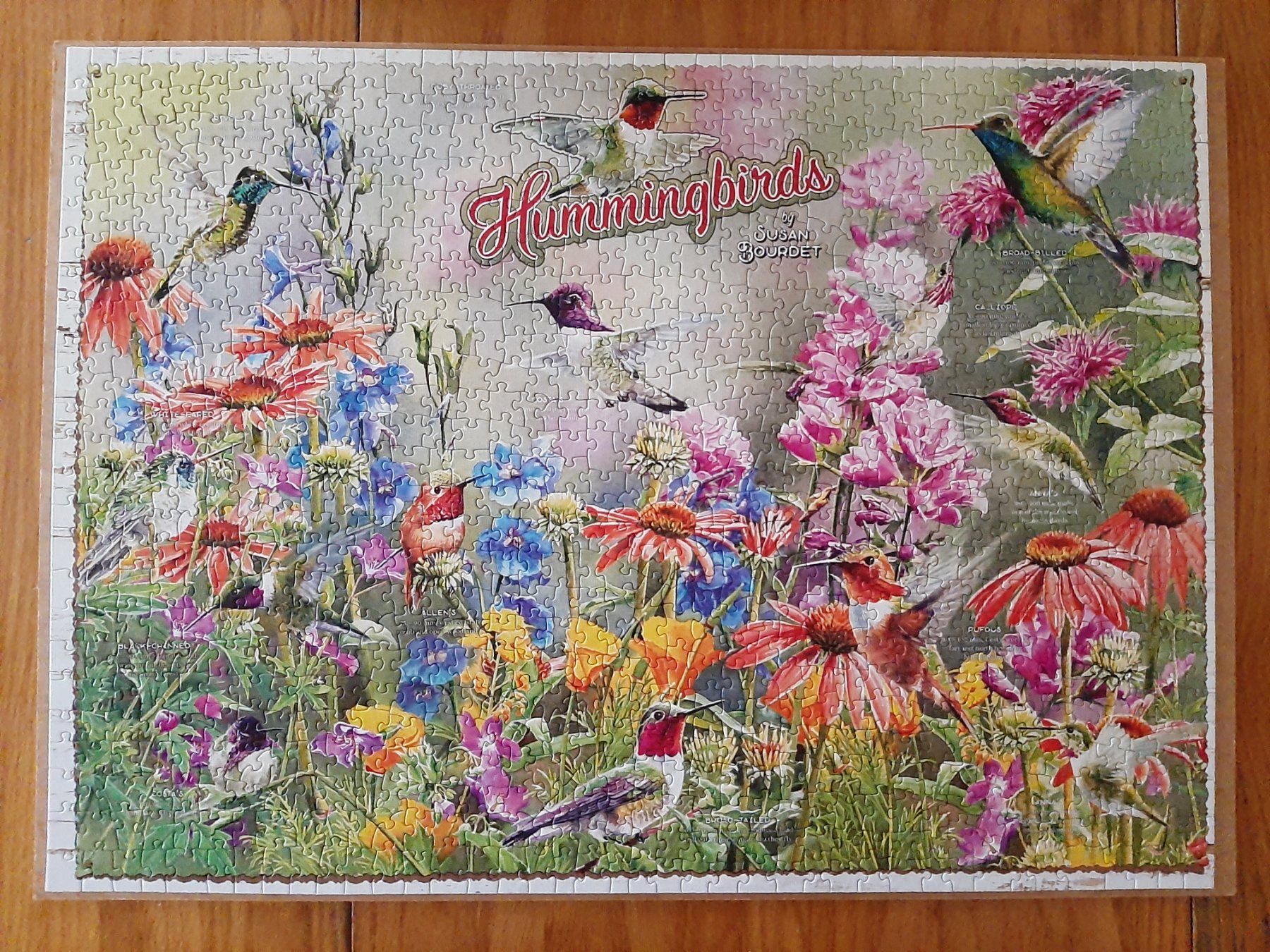 Puzzle: Puzzle 1000er Kolibris von Susan Bourdet – Usato da Flaach venduto da maj_w_ 1