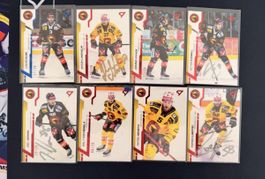 Sportzoo SCB Bern Series 1+2 24/25 Inserts /30 + /20