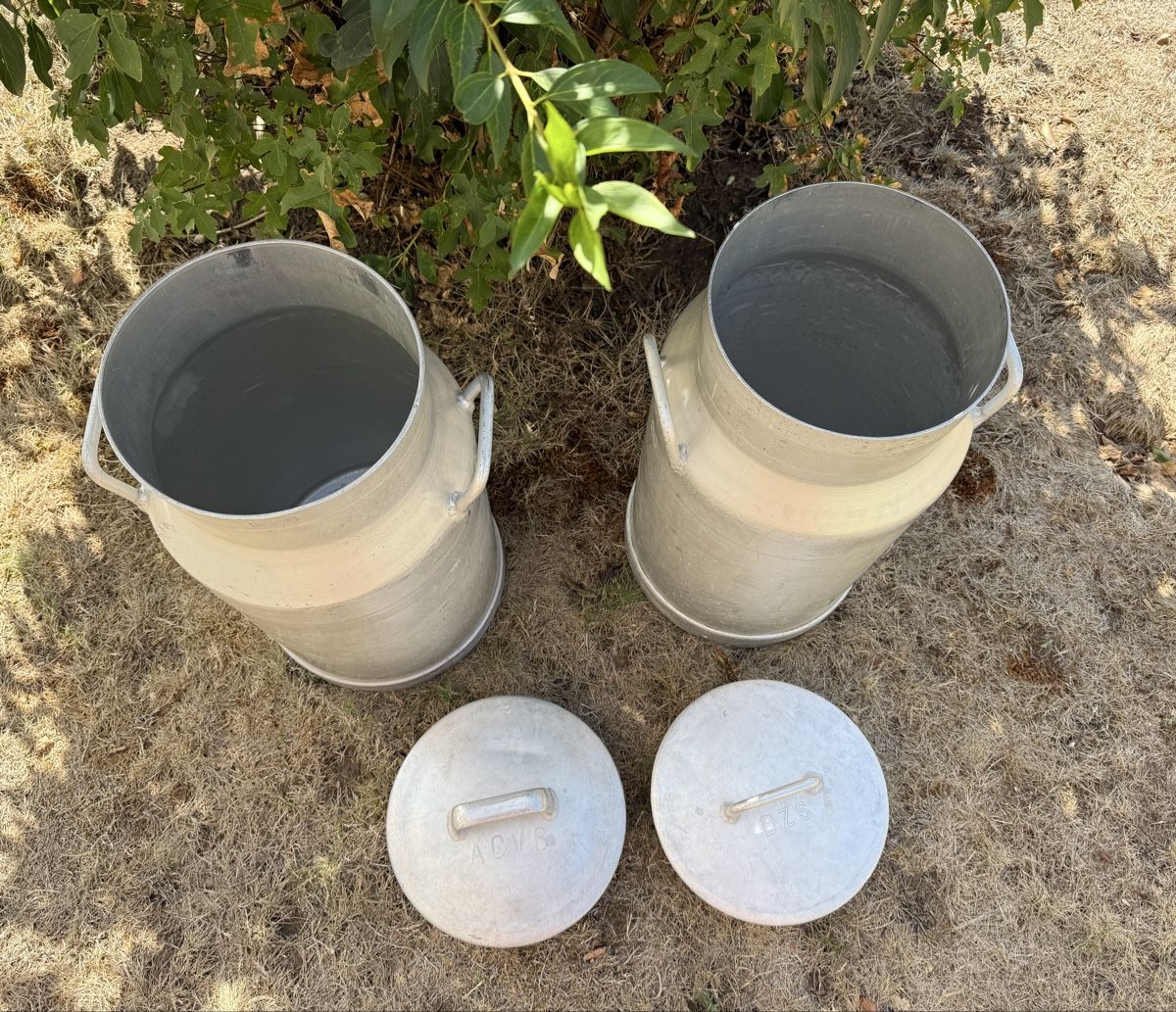 Schweizer Armee Agricoltura: Milchkanne Milchkannen Duo – Usato da Gerlafingen venduto da sternrose 1
