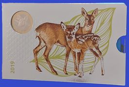 CH - Münzsatz 2019 pp