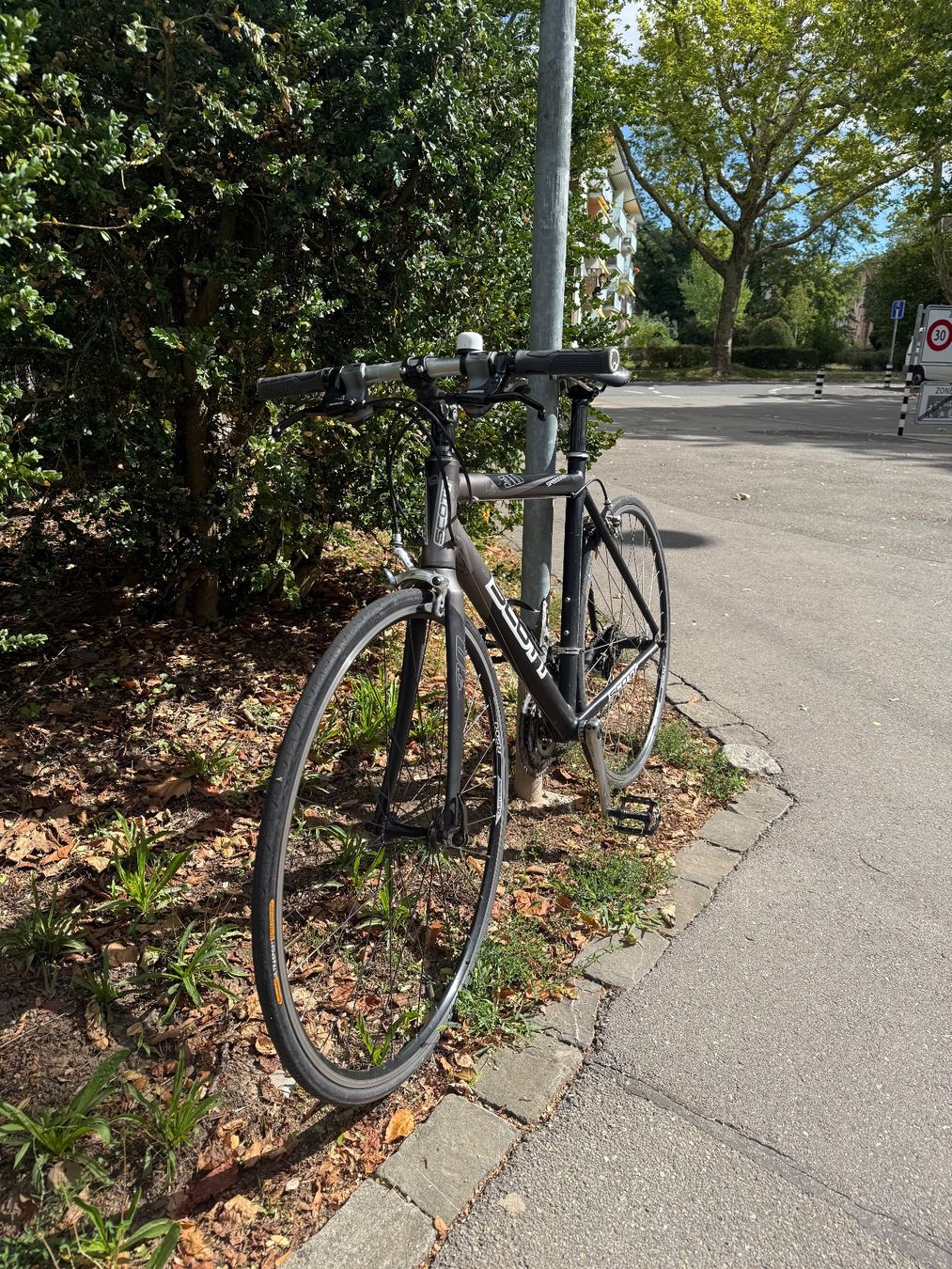 Scott Biciclette: Damen Rennrad Scott Speedster – Usato da Bern venduto da wie_9lth