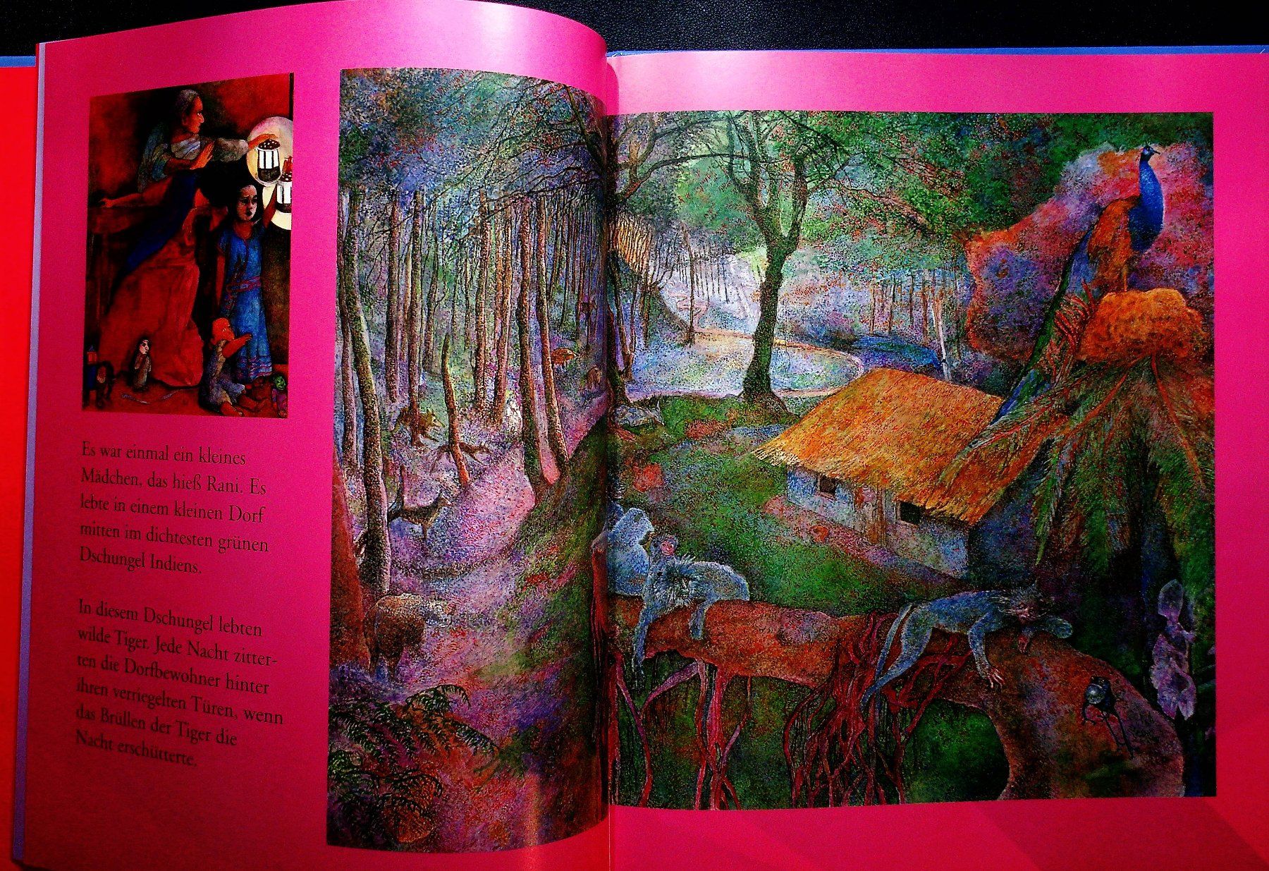 Libri: K. & L. Pitts Rani und der Tiger – Usato da Reitnau venduto da Zaomir 3