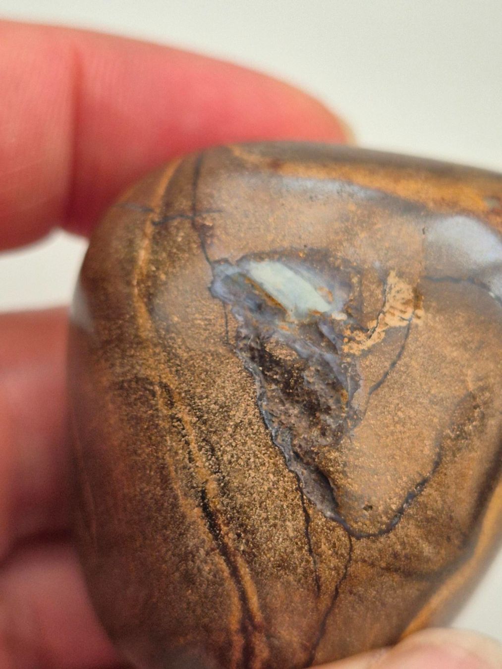 Pietre preziose: Grosser Boulder Opal 406.5ct / 81.3g – Nuovo (secondo la descrizione) da Rüti ZH venduto da pep_l9zp 6