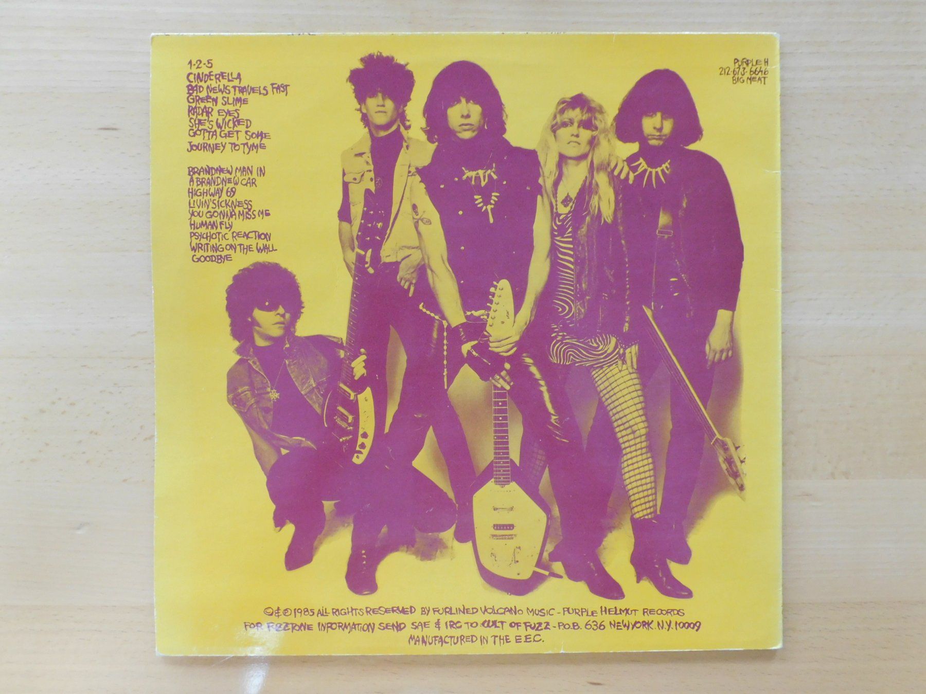 Dischi in vinile: Fuzztones - Lysergic Love – Usato da Emmenbrücke venduto da Dickens 1
