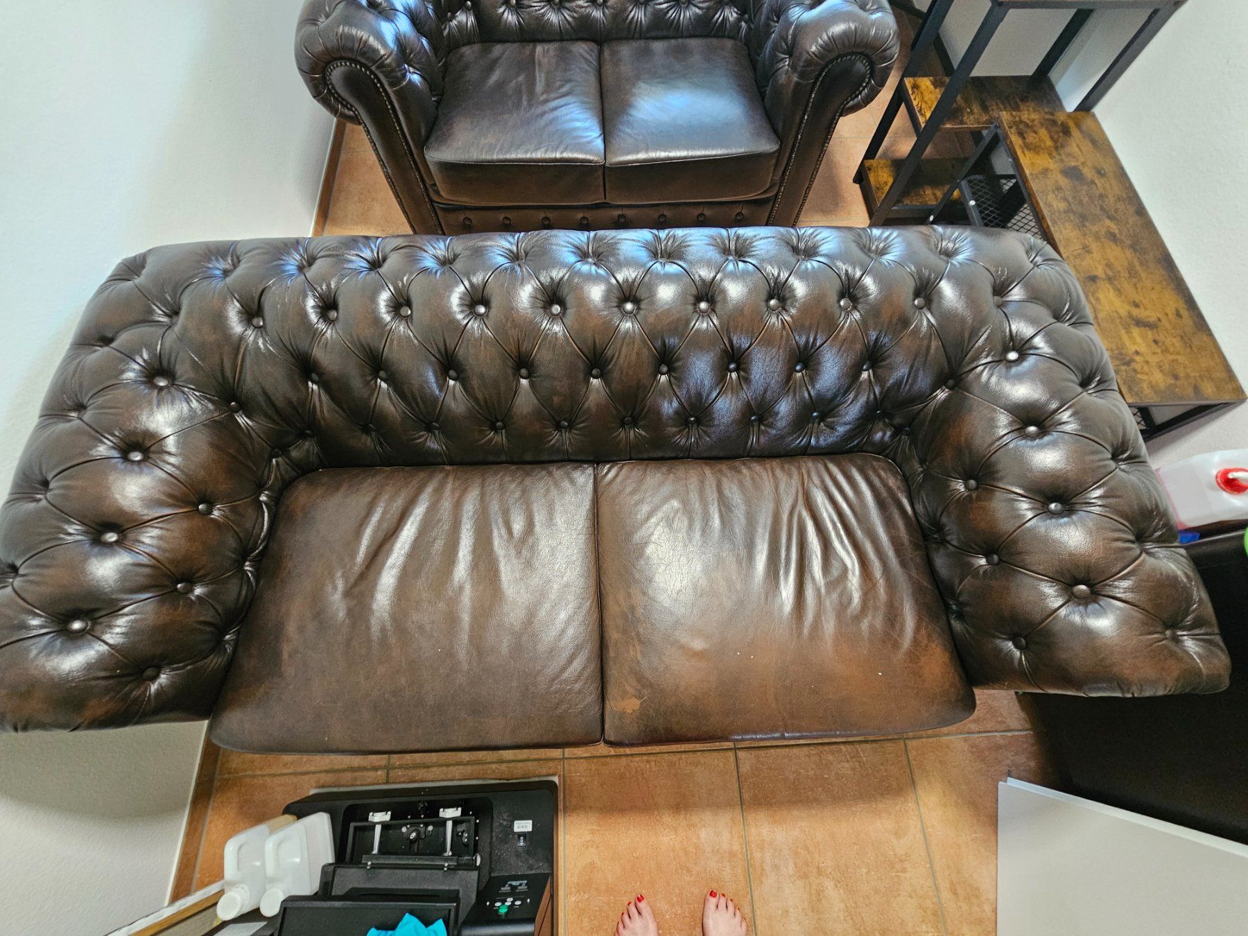 Divani: Chesterfield Sofa Büffelleder – Usato da Oberhasli venduto da lis_x6ll 2