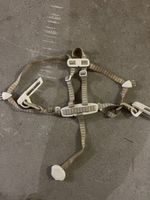 5-point Harness for High Chair stokke