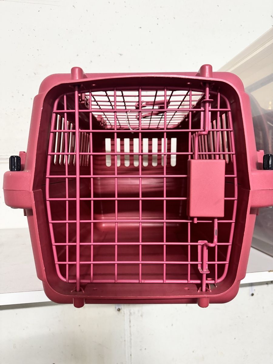 Gabbie, trasporto & Sicurezza: Transportbox Haustier rosa gebraucht – Usato da Büttikon AG venduto da jen_g5s9