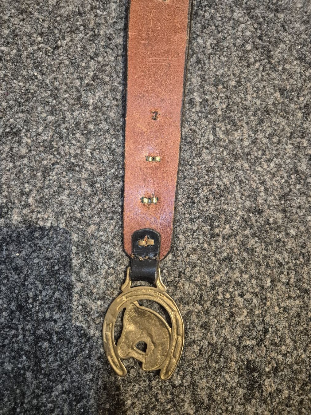 Carrozze: Wandbehang Leder mit Messingpferdekopf gebraucht – Usato da Wittnau venduto da jpi_l775 7