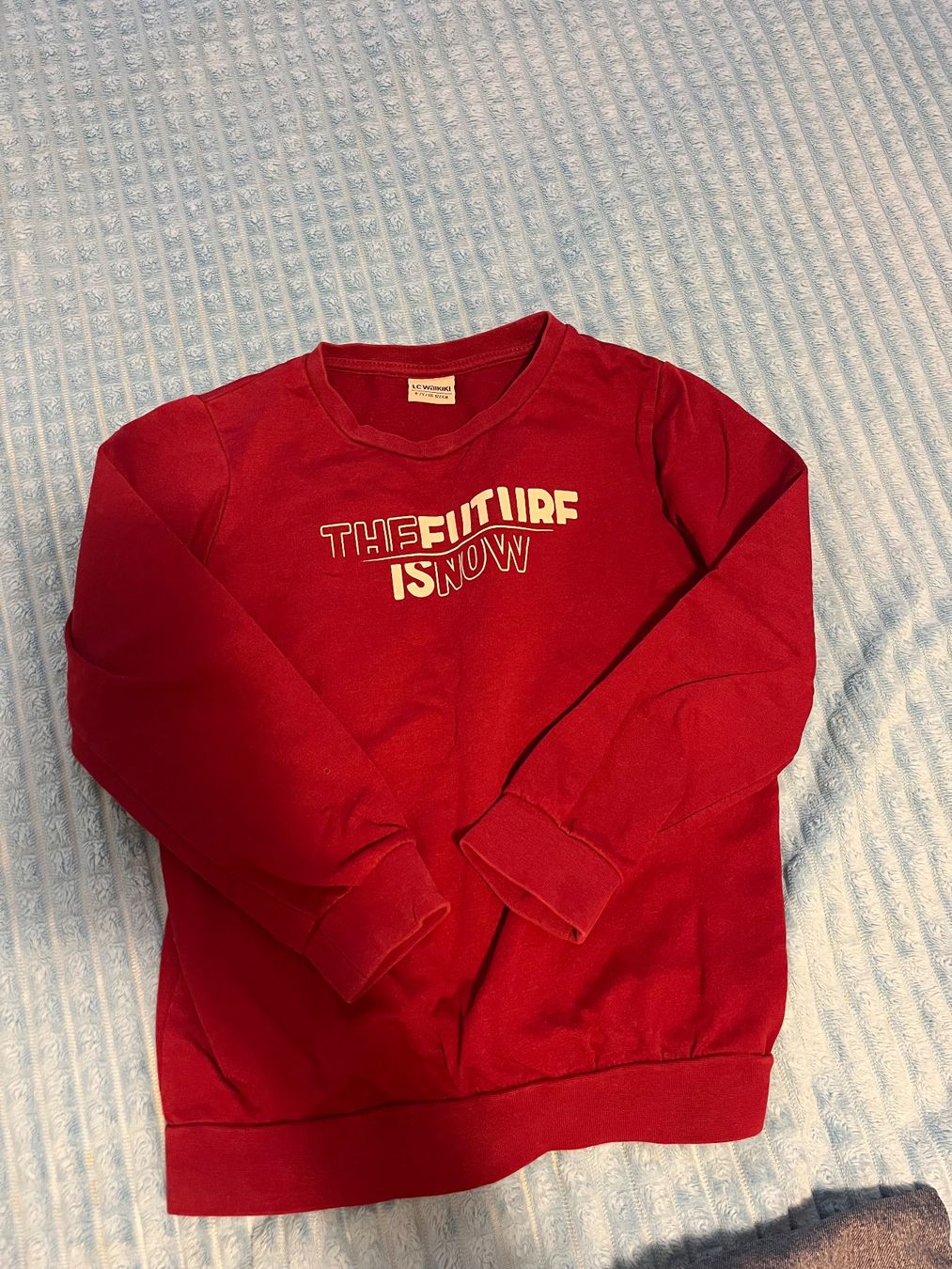 Maglioni & Felpe: Pullover LC Waikiki Gr. 116-122 – Usato da Bern venduto da kho_s6j8