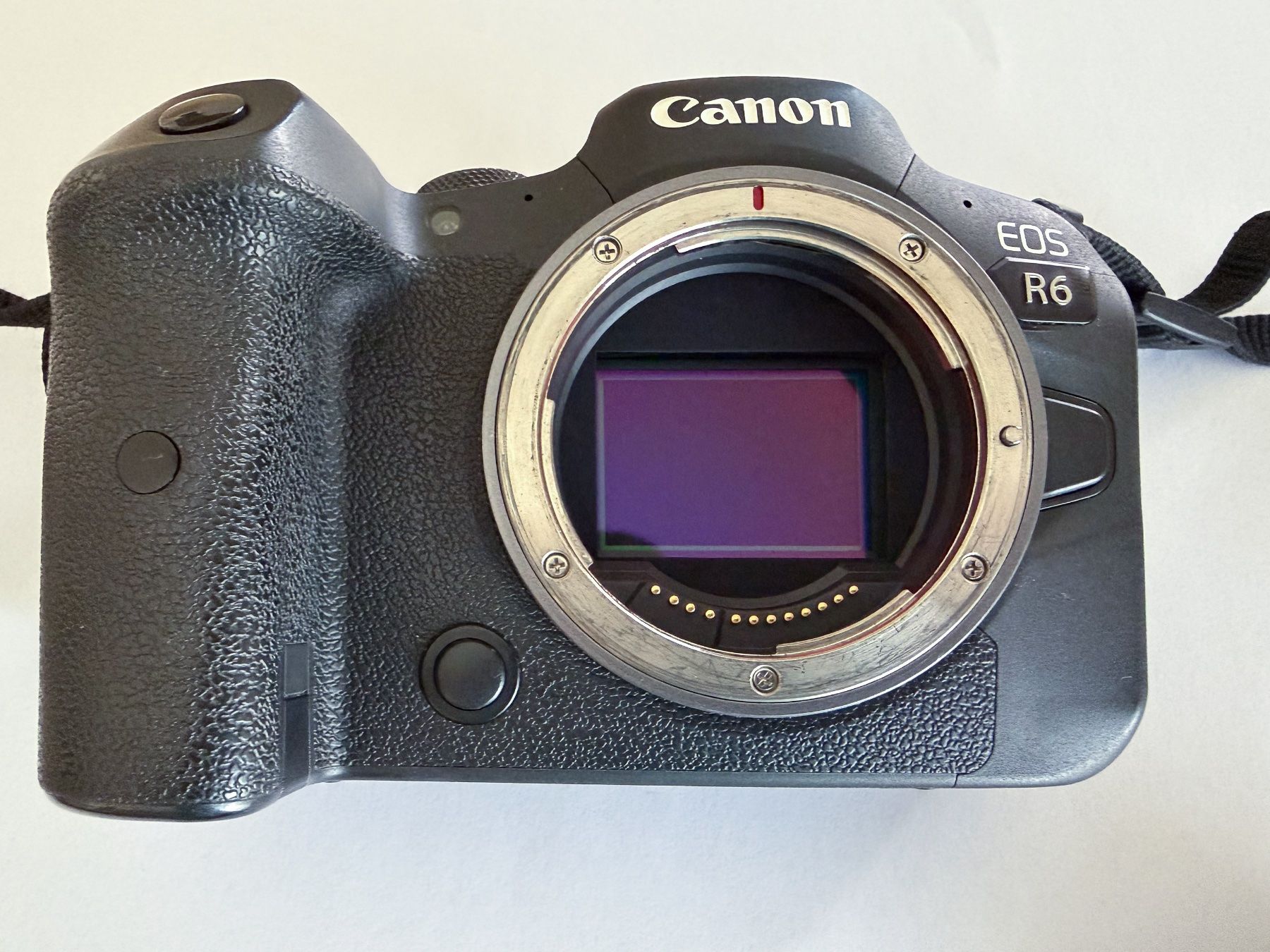 Canon Kamera: Canon EOS R6 Vollformat – Gebraucht aus Unterseen von Kenzie 1