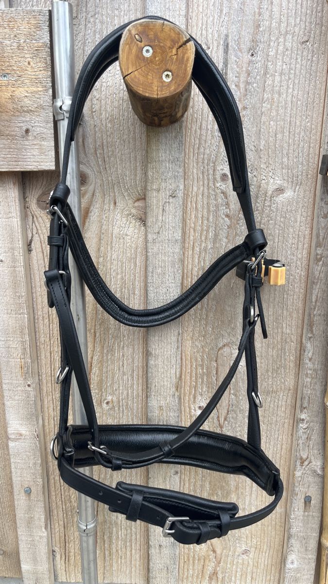 Brides, licols: Waldhausen Lederkappzaum Anatomic – D'occasion à Altenrhein par vic_z9lk 2