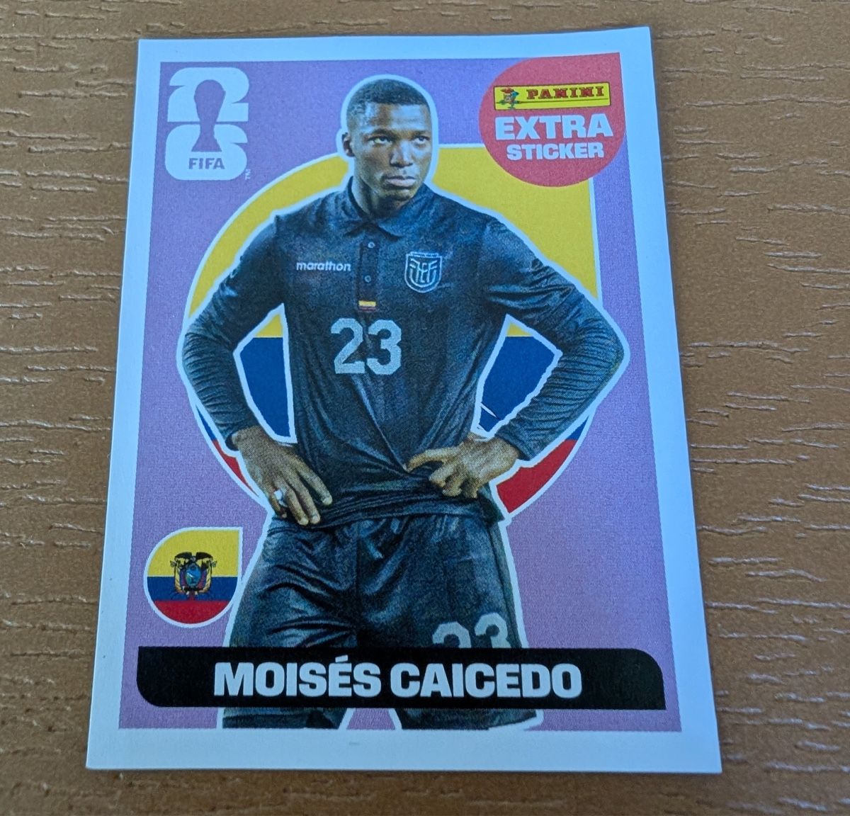 Panini Carte collezionabili: Panini Extrasticker Moises Caicedo – Nuovo (secondo la descrizione) da Lostorf venduto da Barilla73