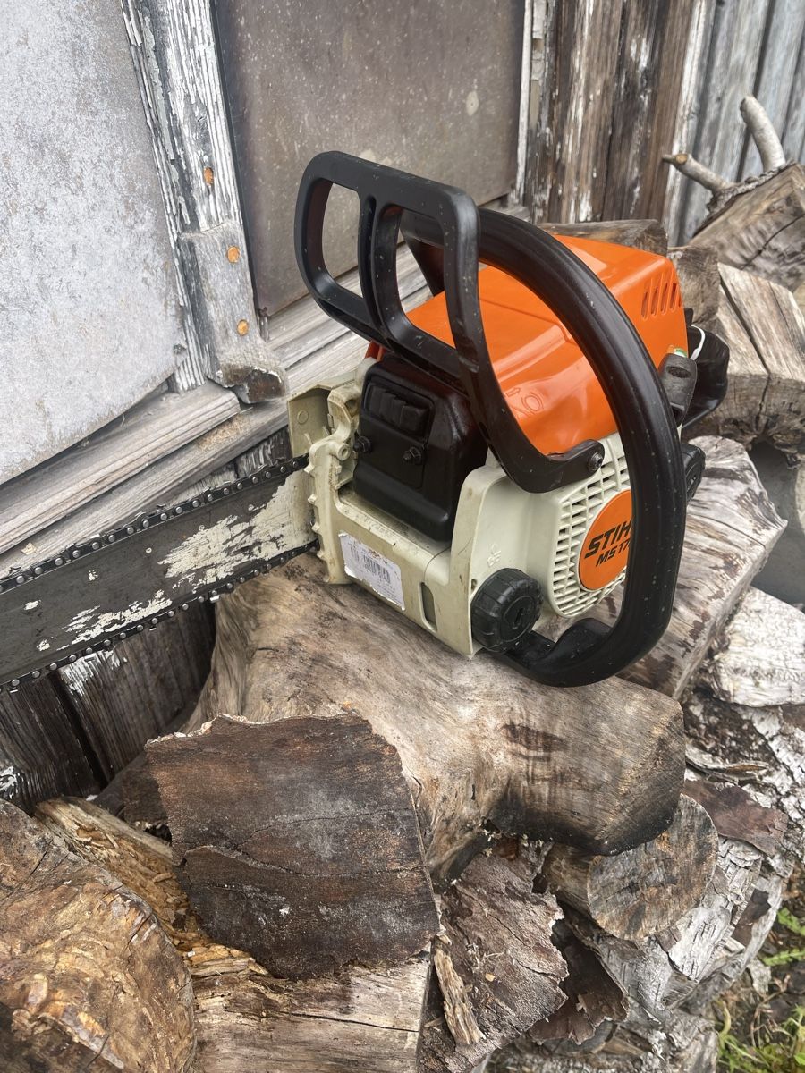 Stihl Scies: Stihl MS 170 Motorsäge – D'occasion à Bern par SVTools 1