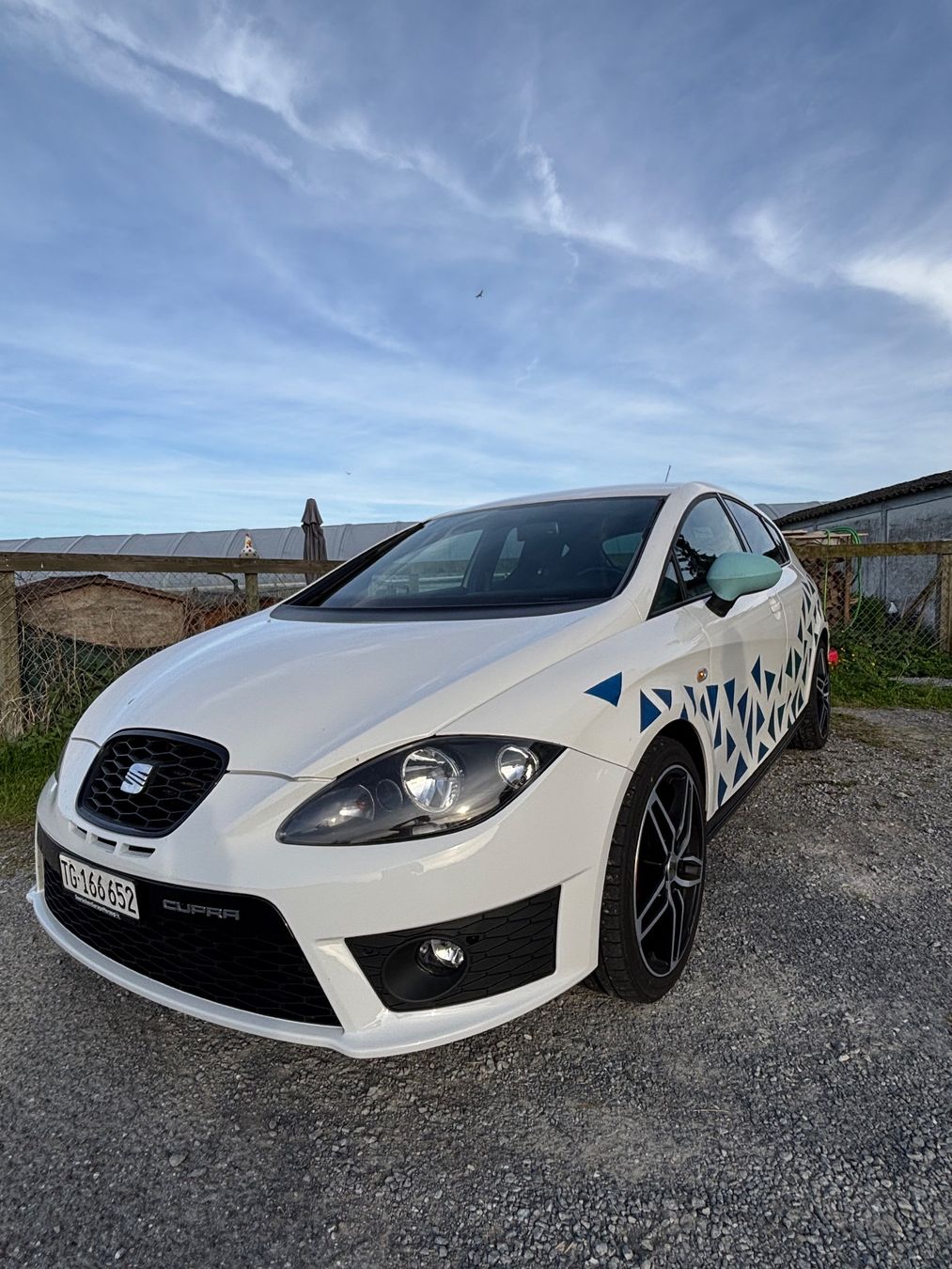 Seat Automobili: Seat Leon Cupra zu verkaufen – Usato da Bernhardzell venduto da chr_2jrp 1