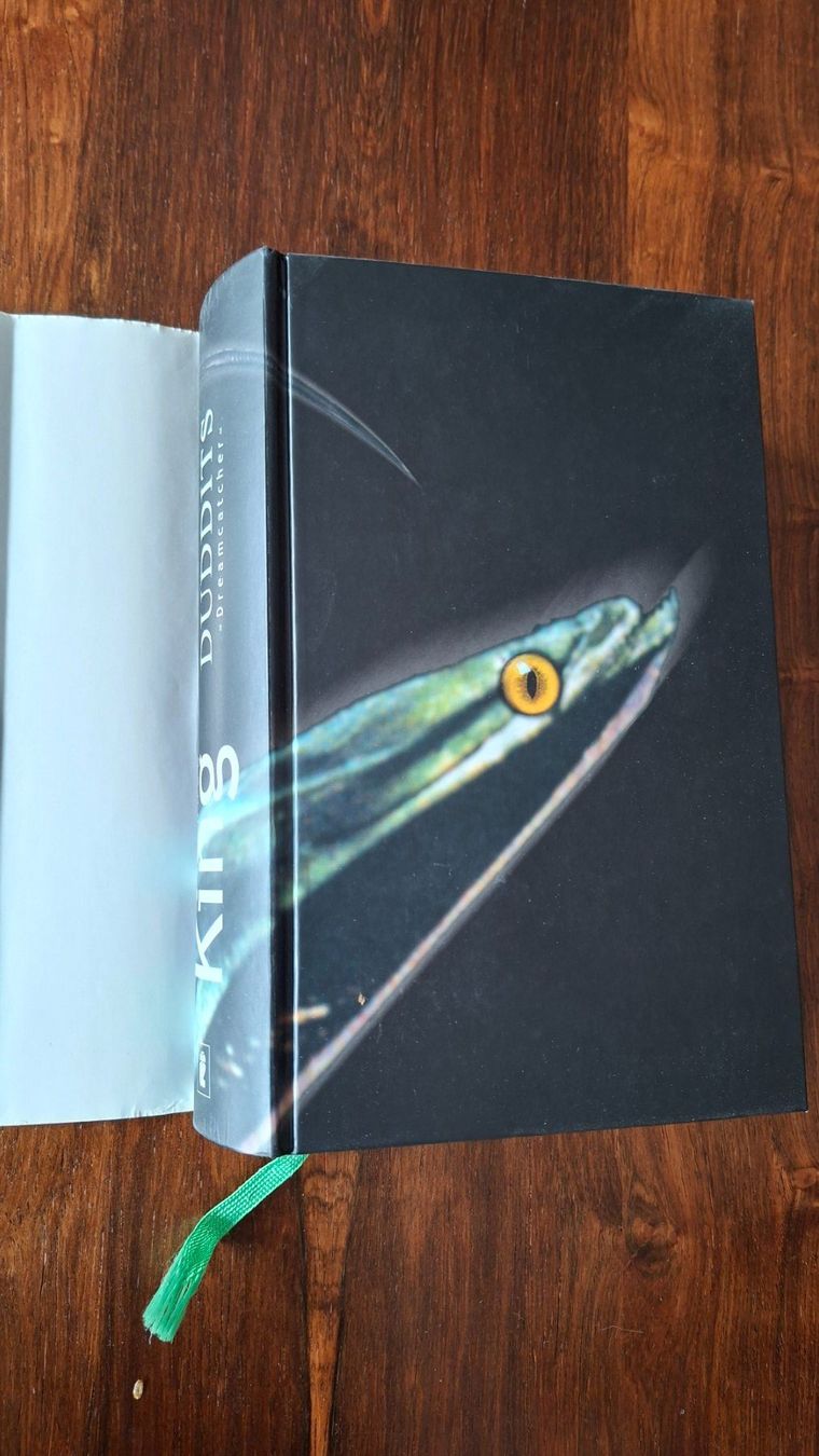 Libri: Stephen King - Duddits Dreamcatcher – Usato da Stäfa venduto da Rampensau 3