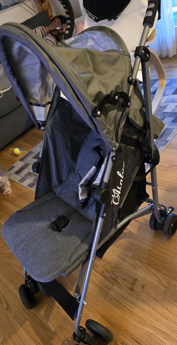 Carrozzine: Kinderwagen – Usato da Luzern venduto da Joaomassano