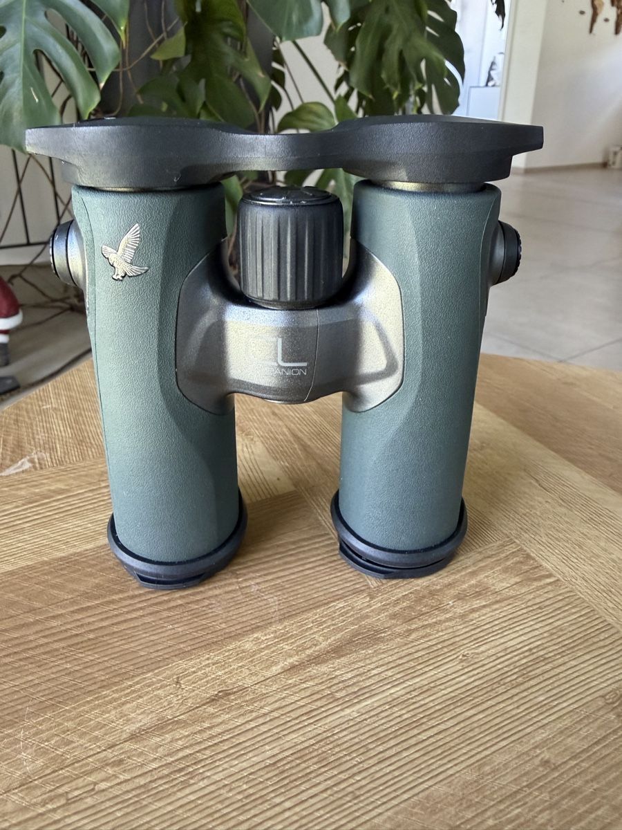 Swarovski Optik Binocoli: Swarovski CL companion 8x30 – Nuovo (secondo la descrizione) da Plaffeien venduto da ewie01