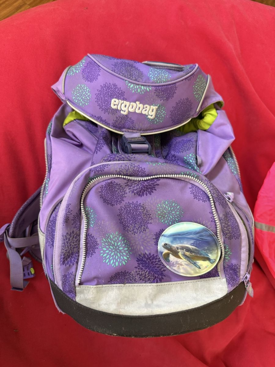 Ergobag Borse & Zaini: Ergobag Schulrucksack Set mit Zubehör, Top Zustand! – Usato da Baar venduto da cwuethrich 2
