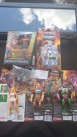 Konvolut Masters of the universe 
