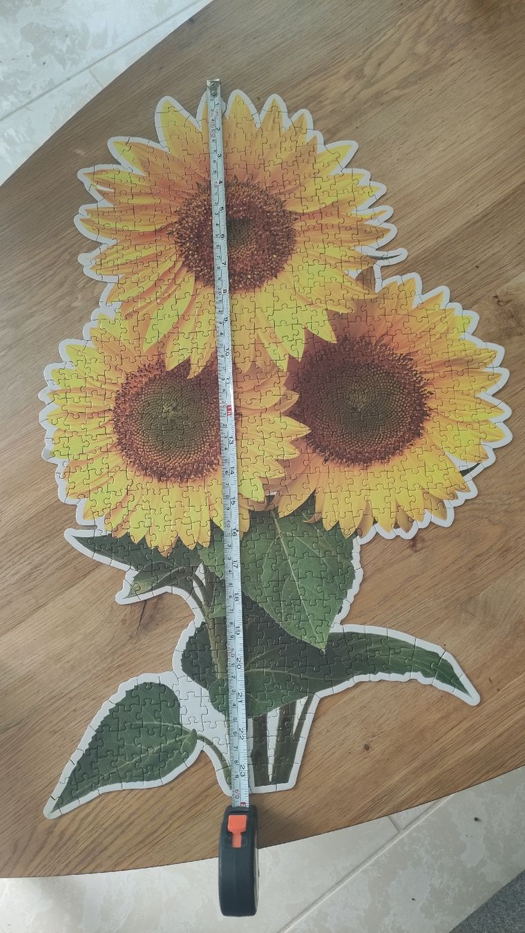 Puzzle: Puzzle Sonnenblumen 552 Teile – Usato da Bülach venduto da dan_7scp 2