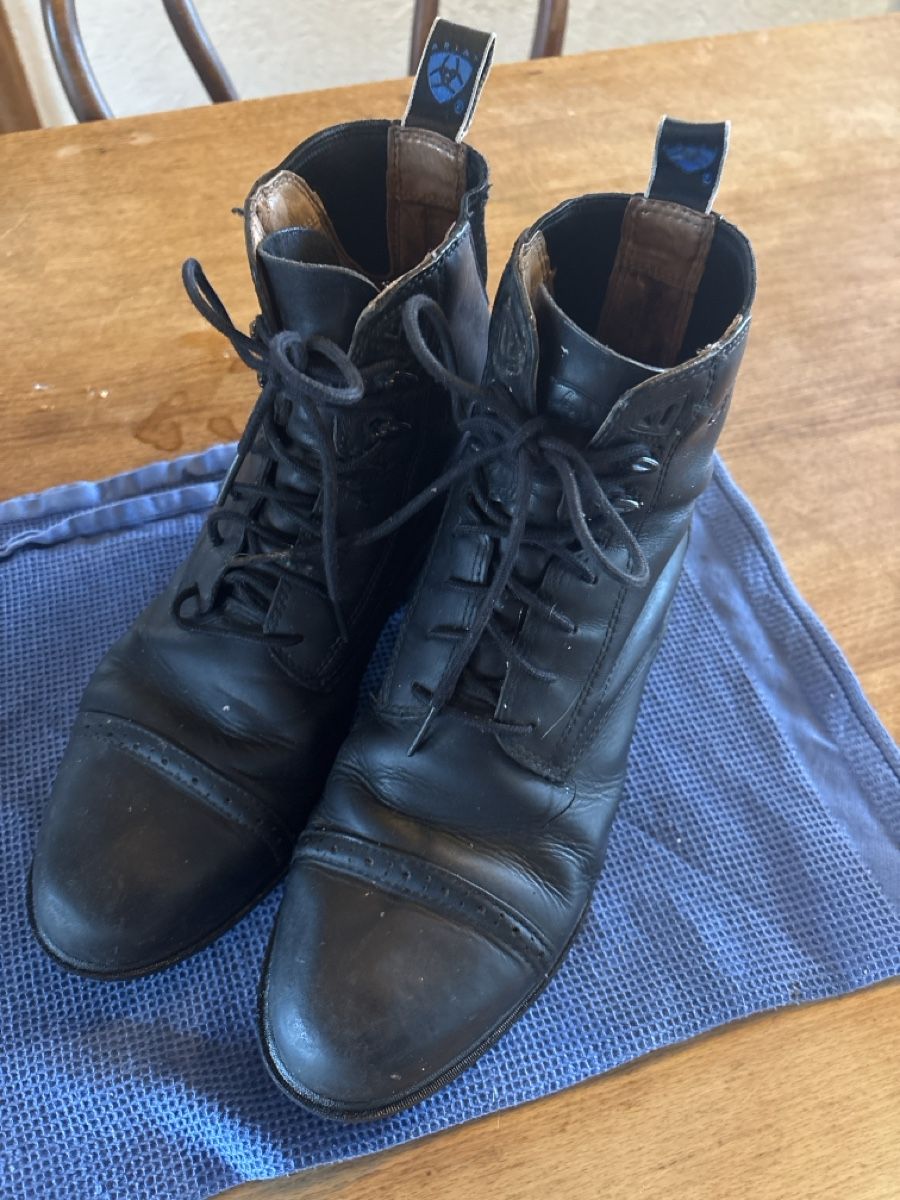 Ariat Scarpe da donna: Ariat Reitstiefeletten Gr. 39 – Usato da Zofingen venduto da Rodeln