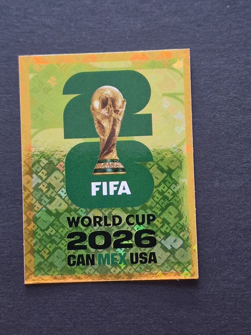 Panini Carte collezionabili: Panini - FWC 7 – Nuovo (secondo la descrizione) da Bouveret venduto da psv01
