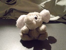 Elefant klein, grau